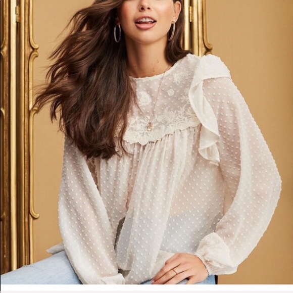 Tops - RED TAG 🔥$26🔥EMBROIDER SWISS DOT CHIFFON PEASANT